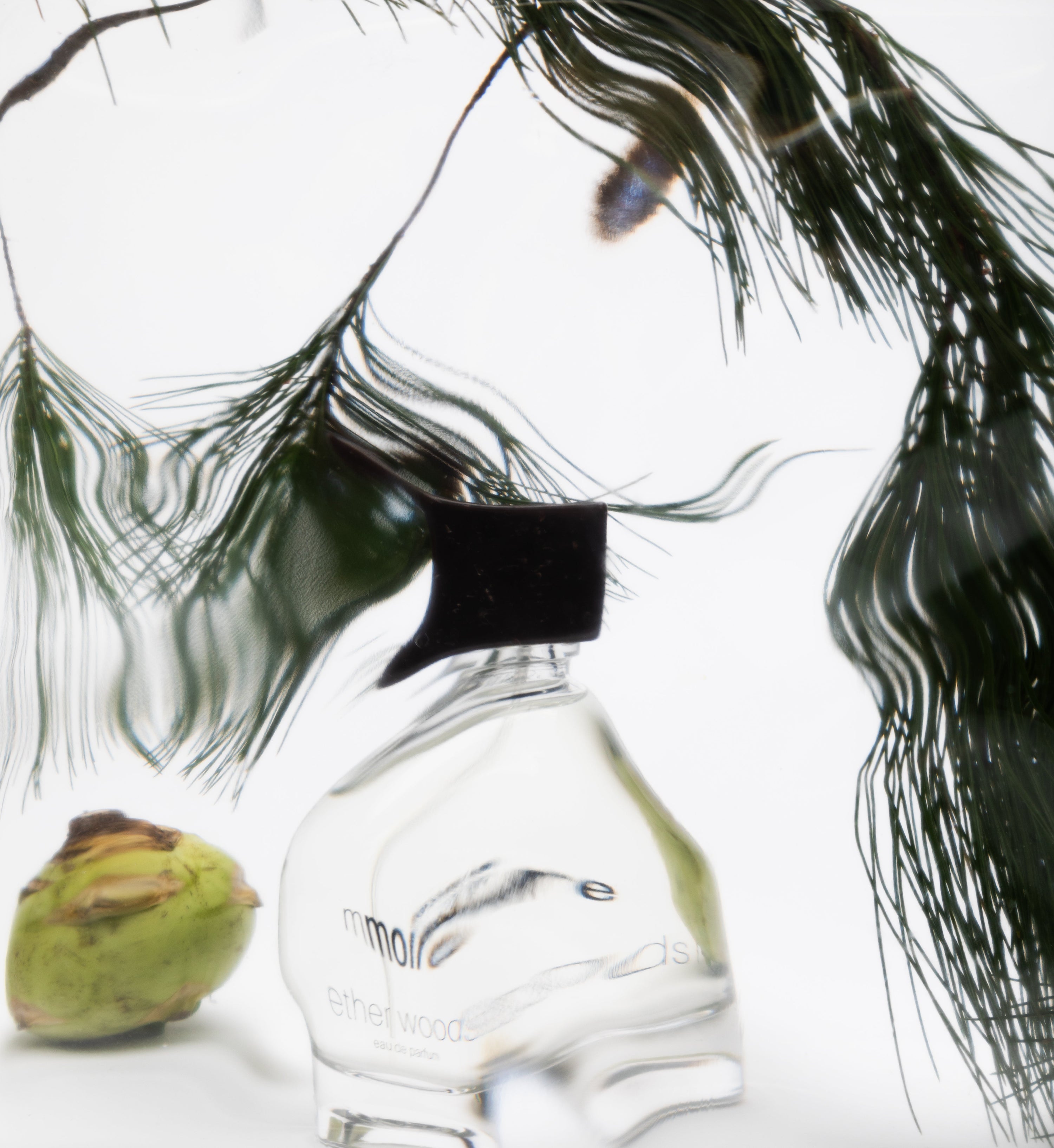 Mmoire green and blurry