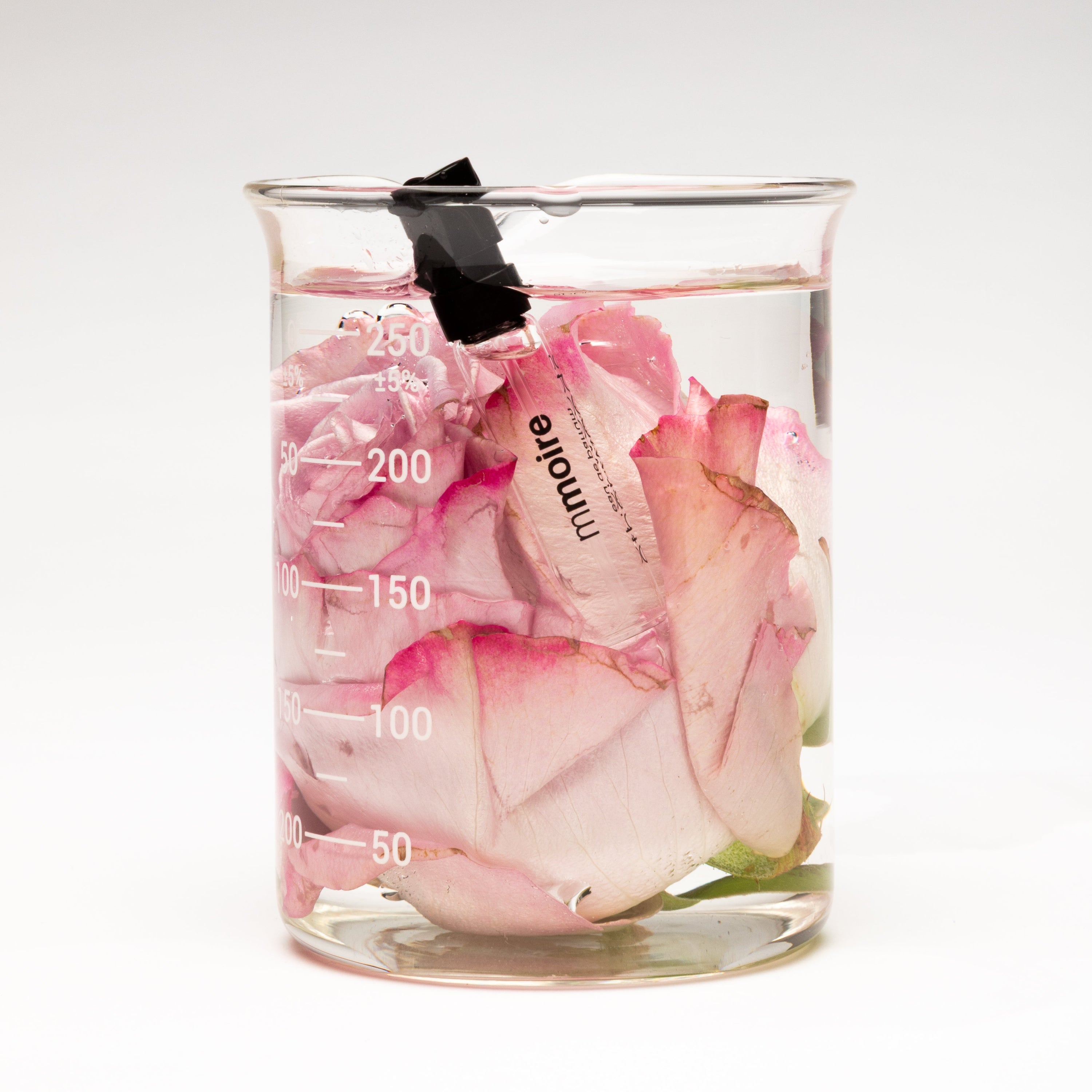 Steel Rose | Eau de Parfum sample - mmoire - 